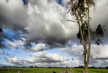 完美世界电竞- 纳达尔重要时刻重要助攻，皇家马德里带队取胜！赛场气氛高涨