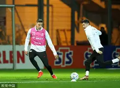 完美电竞- 莱万什么水平 